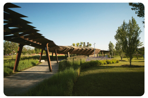 Landscape Design